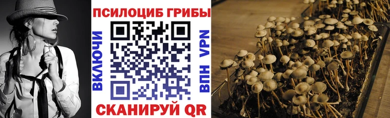 Псилоцибиновые грибы Psilocybe  Радужный 