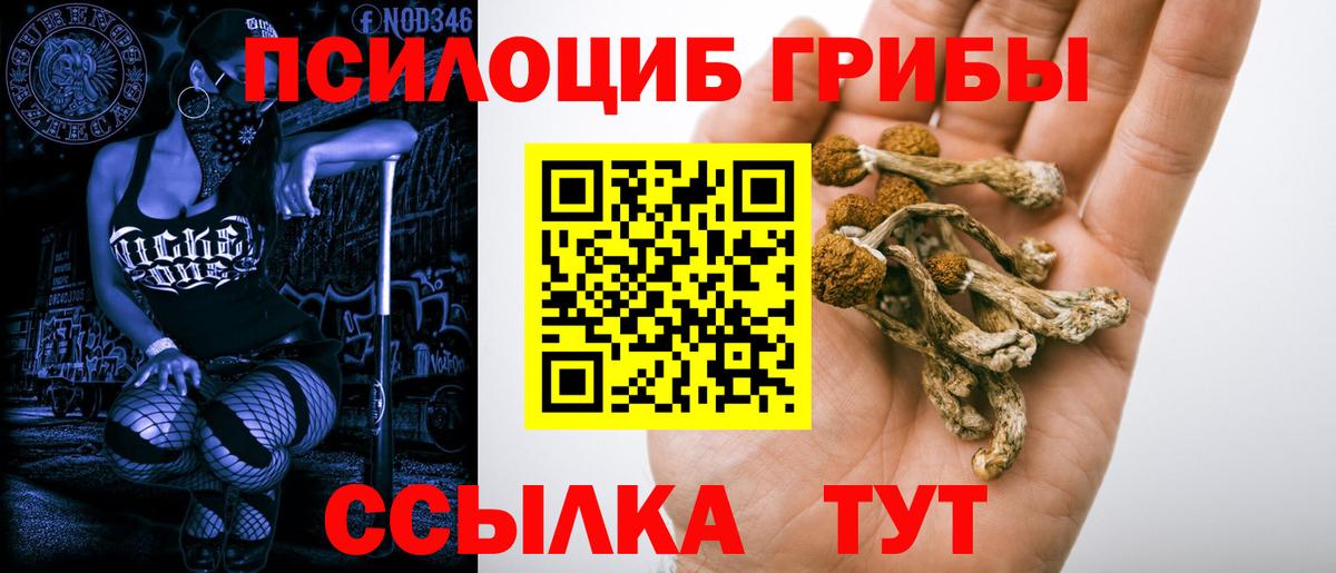 Галлюциногенные грибы GOLDEN TEACHER  сколько стоит  Радужный  Вход с VPN 