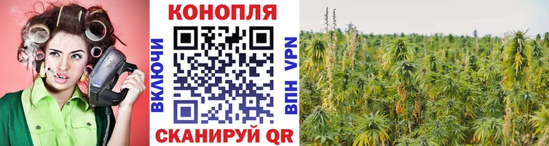 Канабис конопля  Радужный 